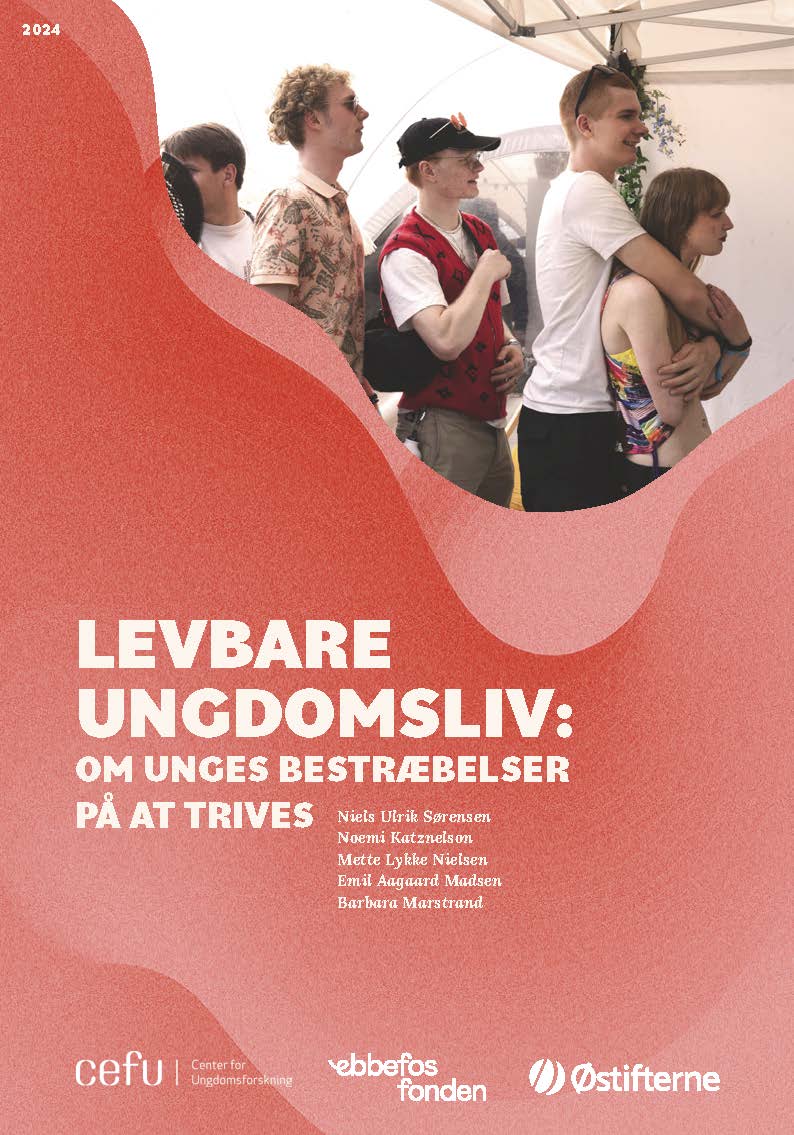 Levbare ungdomsliv: Om unges bestræbelser på at trives